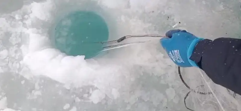 Бухту Бертыс на озере Балхаш очистили от 6 километров браконьерских сетей (2)