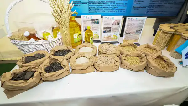 Премьер-министр посетил ряд предприятий Алматинской области и ознакомился с объемами привлеченных инвестиций (7)