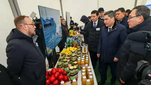 Премьер-министр посетил ряд предприятий Алматинской области и ознакомился с объемами привлеченных инвестиций (8)