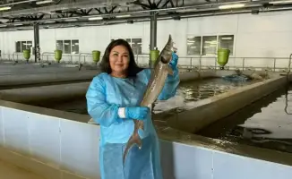 Доктор биологических наук Асылбекова Сауле эксперт в рыбном хозяйстве и аквакультуре Казахстана