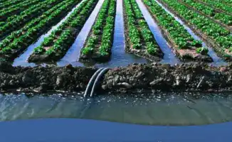 21 поставщик поливной воды оштрафован на 17,8 млн тенге за нарушения прав потребителей