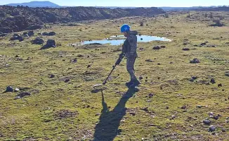 Казахстанские саперы на Голанских высотах ликвидировали 1200 взрывоопасных предметов и 43 самодельных устройства