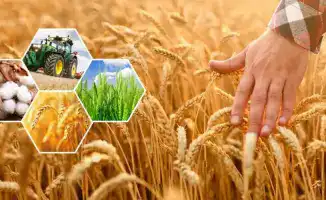 Агропромышленный комплекс Актюбинской области: 383 млрд тенге продукции и 77 млрд на поддержку фермеров