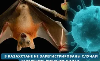Усиление санитарного контроля в Казахстане на фоне отсутствия случаев заражения вирусом Нипах