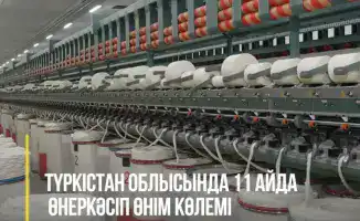 Объём промышленного производства в Туркестанской области за 11 месяцев 2025 года увеличился на 12,5% и составил 1,4 трлн тенге