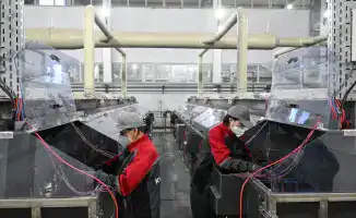 Жетісу: инвестиционный поток, который поднял регион на 4-е место в республике