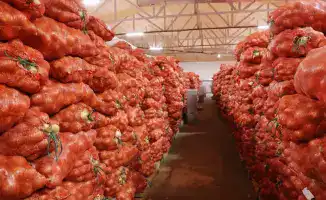 Инвестиции в аграрный сектор Байзакского района: новый этап развития сельского хозяйства и его влияние на региональную экономику