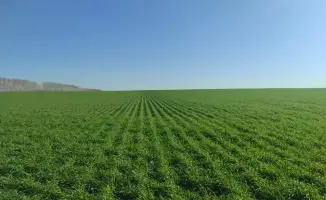 Разработка стратегии развития агропромышленного комплекса в ВКО: возможности для молочного животноводства и орошения