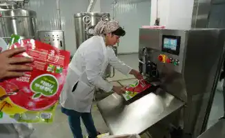 Запуск завода по переработке яблок в Туркестанской области