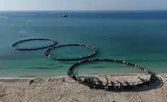 В Казахстане произведено 59,4 тыс. тонн готовой рыбной продукции за 11 месяцев 2025 года