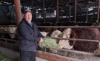 Устойчивое фермерство как способ улучшения качества жизни и развития региона