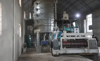 В Сарыагаше началось строительство цеха по производству подсолнечного масла