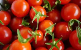 Семена под угрозой: вирус коричневой морщинистости пересек границу в аэропорту Астаны