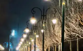 Алматы: улица Пушкина превращается в зеленую оазис-прогулку