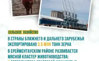 Акмолинская область: зерно рекордов и мясные перспективы!