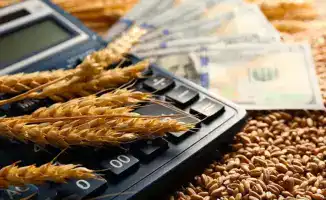 Субсидии на зерно: кто у нас в фаворе?