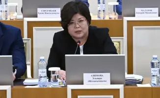 Обсуждение поправок в Конституции началось в Астане