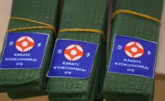 вручение поясов юным каратистам в столичной школе