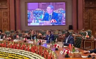 Семена демократии: Казахстан делится опытом реформ в Индии