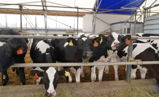 Рост инвестиций в Акмолинской области: новые перспективы для экономики региона