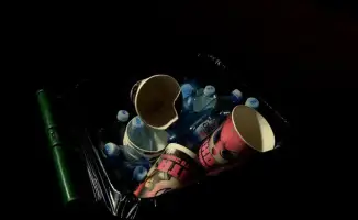 Экоакция зрителей кинотеатра в Астане после сеанса