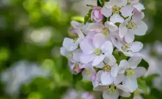 Включение трех фестивалей Жетісу в календарь мероприятий Министерства туризма и спорта повысит туристическую привлекательность региона в 2026 году.