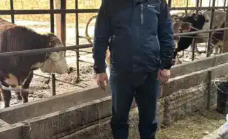 Фермер Мухамеддауит Косаев: 15 лет успешного развития хозяйства в Отырарском районе