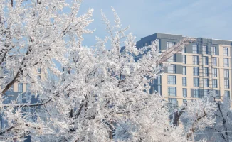 Снег и туман: Астана и Алматы в погодном капкане