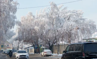 Морозы и снег: Казахстан готовится к зимним испытаниям в Астане и Алматы