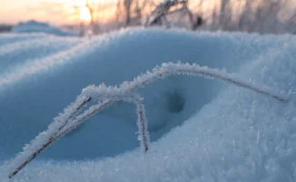Погода в Астане и Алматы: снегопад 22-24 января 2023 года
