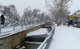 Синоптики прогнозируют резкое похолодание в Астане до -30°C и обильные снегопады в Алматы с 14 по 16 января.