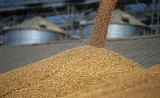 Рост объемов отгрузки зерна с хлебных баз Продкорпорации на 25% в 2025 году