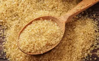 Строительство завода по производству желатина и коллагена в Алматы: новые рабочие места и инвестиции в экономику Казахстана