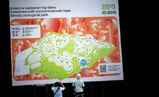 Акция по приему ёлок в алматинском зоопарке