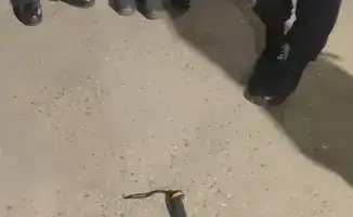 Guardians Apprehend Man Armed with Machete in Konayev