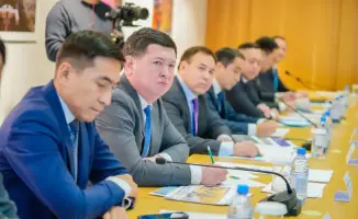 В Астане обсудили создание экопарков для улучшения городской среды