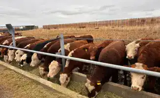 В Аксуатском районе открываются новые торговые объекты и строятся гостиницы
