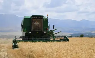 ТУРКЕСТАН: В РУКАХ АГРАРИЯ — СКРЫТЫЕ СЕКРЕТЫ УСПЕХА АГРОПРОМЫШЛЕННОГО КОМПЛЕКСА