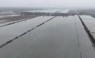 Промывка почвы на более 100 тыс. га орошаемых земель проводится в Туркестанской области