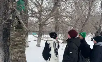 Экологическая акция в Урджаре: берегите природу