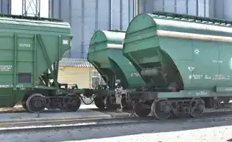 Зерно в пути: 30% роста в 2025 году!