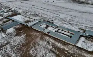 В Алматинской области начнется строительство молочно-товарной фермы на 1200 голов для повышения производства молока