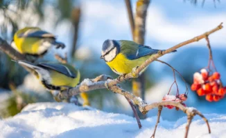 Астана прощается с морозами: Алматы ожидает потепление в ближайшие дни