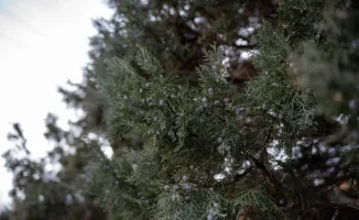 Международный прогноз погоды: Астана, Алматы и Шымкент ожидают изменения в климатических условиях 3-5 января