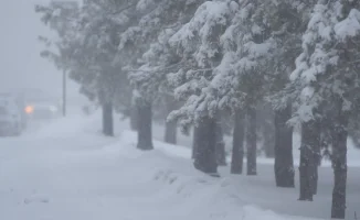 Казахстан завалит снегом: прогноз на выходные
