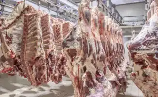 Казахстан вводит ограничения на экспорт говядины: причины и порядок применения новых мер