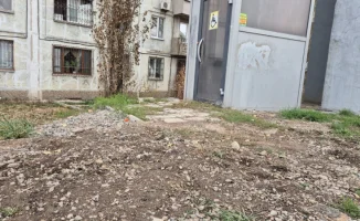 Город без теней: почему Алматы не видит людей с инвалидностью на своих улицах