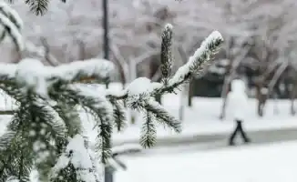 Резкое похолодание в Казахстане: как морозы повлияют на жизнь алматинцев и астанчан в середине января