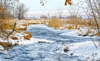 Синоптики Казгидромета прогнозируют потепление до +13 градусов в Казахстане на 31 января, 1 и 2 февраля.