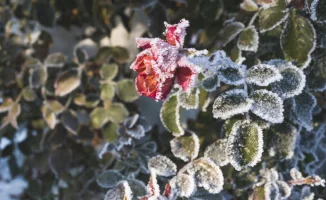 В Казахстан придут сильные морозы: прогноз погоды на январь